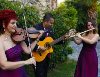 ANKARADA MÜZİK ORGANİZASYONU