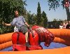 ŞİŞME OYUN PARKLARI ANKARA