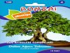 Toptan bahçe marketten satılık bonsai tohumları