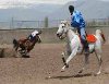 ANKARADA CİRİT EKİBİ