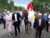 ANKARADA KİRALIK AT