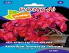 Toptan bahçe marketten satılık bonsai tohumları