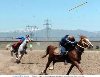 ANKARADA CİRİT EKİBİ