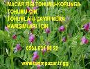 Macar fiği, macar fiği tohumu, macar_fiği_tohumu, macar_fiğ, macar fiği fiyatı, macar fiğ tohumu, macar fiğ tarımı, yonca tohumu, korunga tohumu
