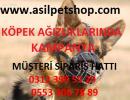 Köpek ağızlık 5 TL,Köpek ağızlığı,Köpek ağızlık fiyatları,Pilastik köpek ağızlık,ağızlık