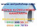 Köpek kulübeleri 10 TL,Köpek Kulübesi,köpek kulübesi fiyatları,Köpek kulübe, kedi köpek kulübesi