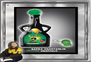 DOUBLE-UP ENJEKTÖR VE KARBÜRATÖR TEMİZLEYİCİ BENZİN KATKISI