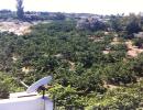 macar inşattan 1400m2 arsa içinde 150m2 müstakil iki katlı ev satılıktır