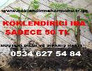 KÖKLENDİRME HORMONLARINDA KAMPANYAAA 