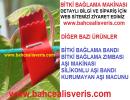 Hertürlü bitki bağlama makinası kapıda ödeme garantisi ile