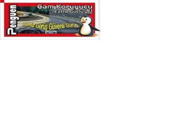 CAM KORUYUCU MENDİL BAYİLİK VERİLECEKTİR..