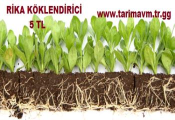 Köklendirme Hormonu, Kök Geliştirici, Köklendirici