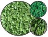 Dichondra Repens  ,Fare Kulağı,Fare Kulağı Tohumu