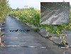 Taban-Örtüsü,Taban-Örtüsü-Fiyatı,Jüt,Yer-Örüsü,Taban-Örtüsü-Satışı,Sera-Örtüsü,Sera-Taban-Örtüsü,Bahçe-Taban-Örtüsü,Gölgeleme-Örtüsü,Taban-Örtüsü-Ankara