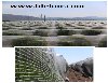 Arı-Tülü,Arı-Tülü-Fiyatı,Arı -Filesi,Üzüm-Koruma-Filesi,Bağ-Filesi,Anti-Böcek-Tülü,Arı-Tülü-Satışı,Arı- Filesi-Satışı,Gölgeleme-Filesi,Arı-Filesi-Fiyatı,Arı-Tülü-Ankara