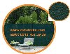 Görüntü-Kesme-Filesi.gölgelik file.çit filesi.çit örtüsü.gizleme filesi.görüntü gizleme filesi.goruntu-kesme-filesi      