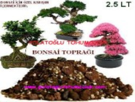 Bonsai,Bonsai Toprağı,Bonzai Toprağı Fiyatı,Bonzai Toprağı Satışı,Bonsai Fiyatı