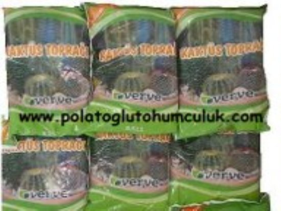 Kaktüs Toprağı,Kaktüs Toprağı Satışı,Kaktüs Toprağı Ankara,Toprak,Kaktüs Toprağı Fiyatı, Torf Toprak