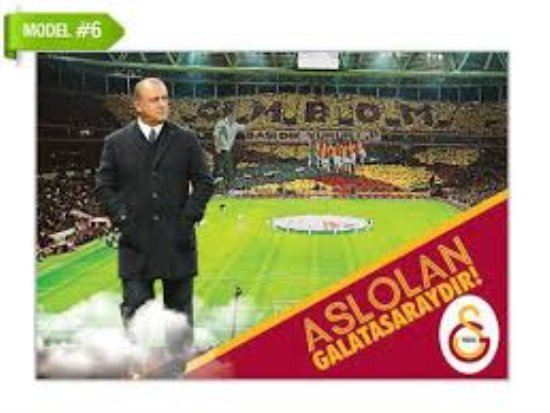 3d lisansli taraftar resim