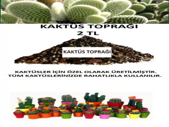 Kaktüs Toprağı,Kaktüs Toprağı Fiyatı.