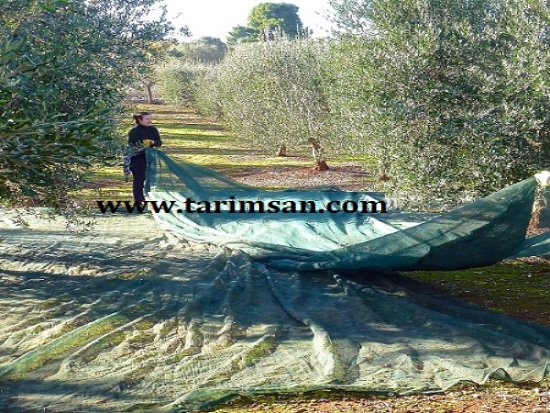 Ürün-Toplama-Filesi,Ürün-Toplama-Örtüsü,Dut-Toplama-Örtüsü,Sergenlik,Sergenlik-Fiyatı,Zeytin-Toplama-Filesi,Gölgelik-File,Sergenlik-Satışı,Ürün-Toplama-Filesi-Ankara