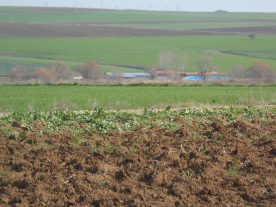 KAÇIRILMAYACAK İSTANBUL SİLİVRİ ÇANTADA İMARLI ARSALAR