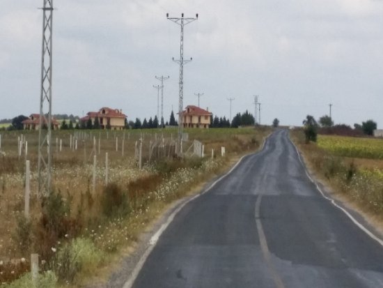 NE DÖVÜZ NEALTIN NE BORSA EN İYİ YATIRIM ARSA