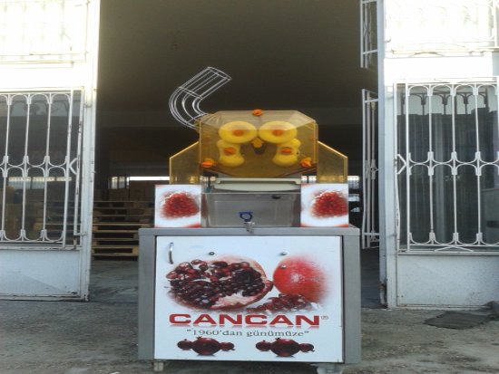 CANCAN OTOMATİK NAR-GREYFURT SIKACAĞI